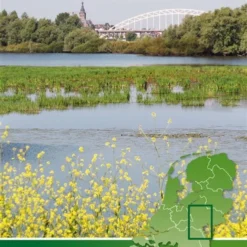 Rivierengebied Ost Radkarte Mit Knotenpunkten 1:100.000, ANWB Bl. 10