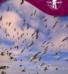 Froya / Frøya Wanderkarte 1:50.000 – Norwegen, Turkart 2814 Von Nordeca